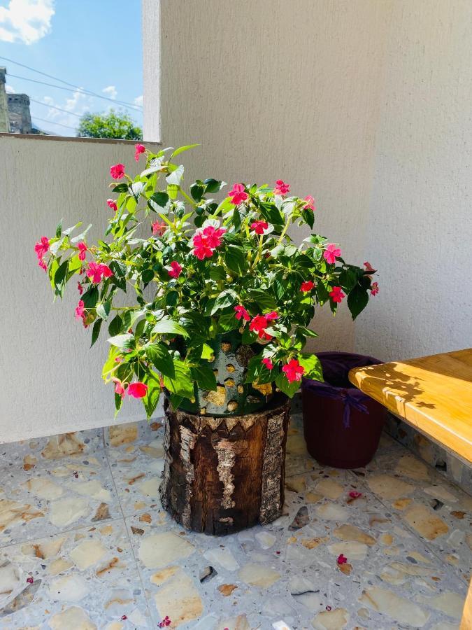 Guest House Victor Zhabeshi 외부 사진